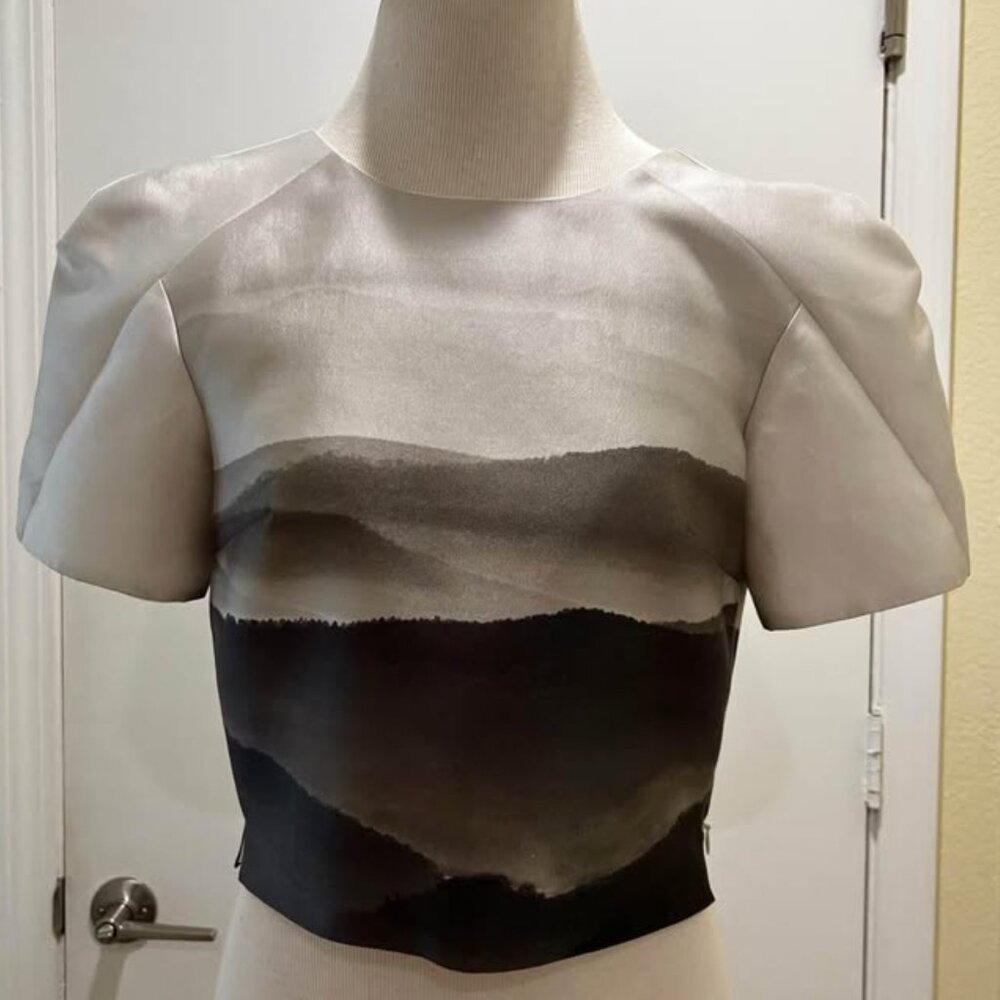 Silk Printed blouse Silk Cotton